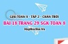 Bài 18 trang 29 Toán 8 Tập 2 Chân trời sáng tạo: Đồ Thị Hàm Số Cắt Nhau